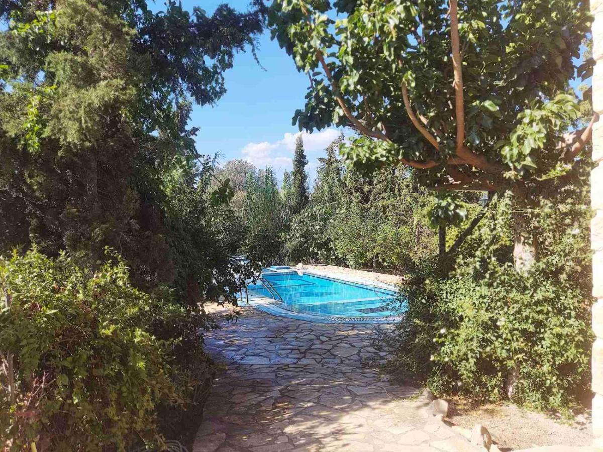 Villa Elia Pitsidia Exterior foto