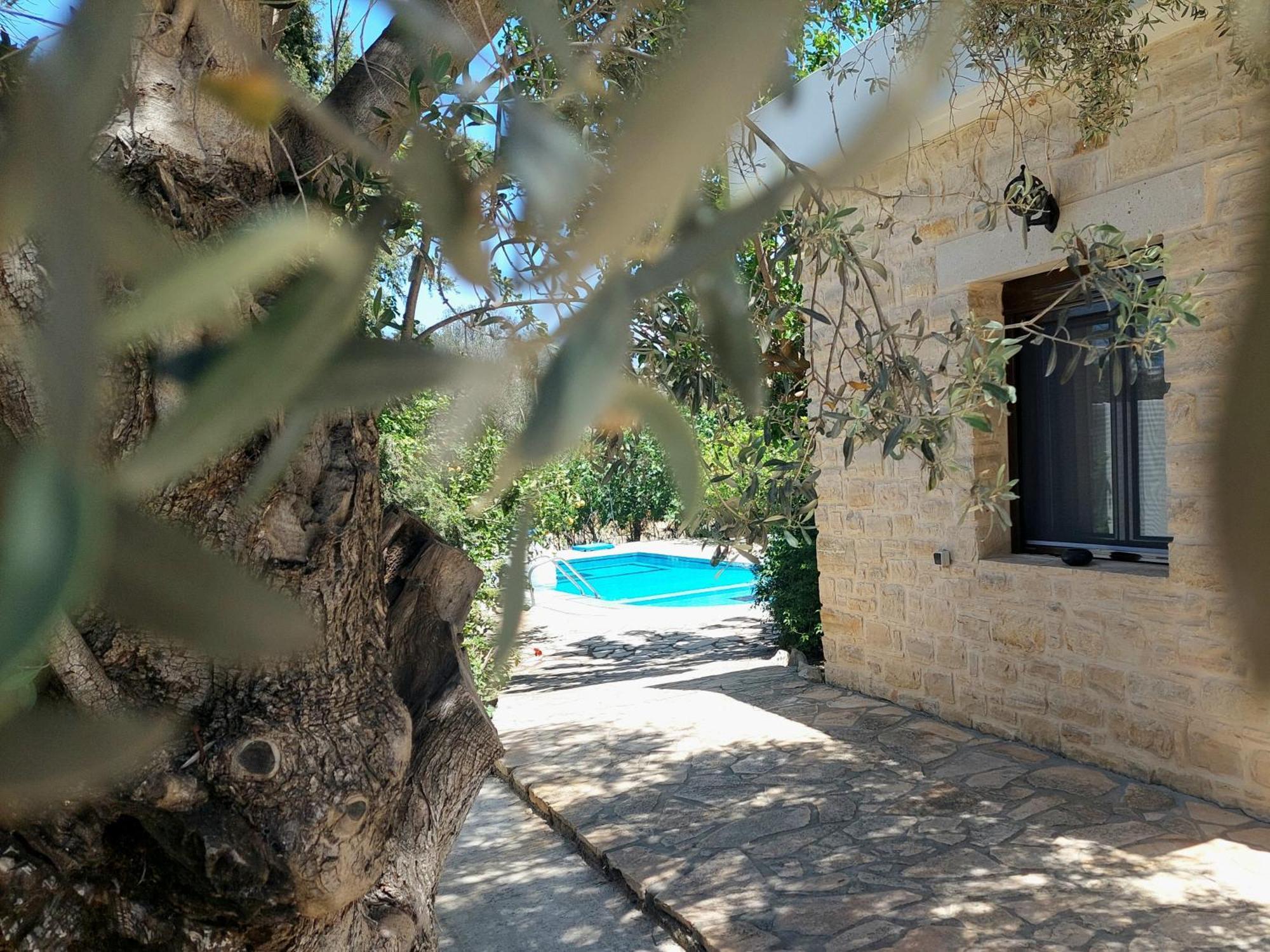 Villa Elia Pitsidia Exterior foto